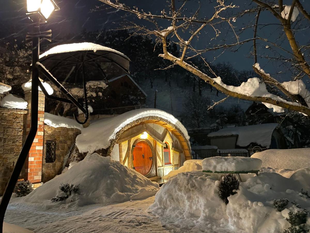 Cozy House - Housity