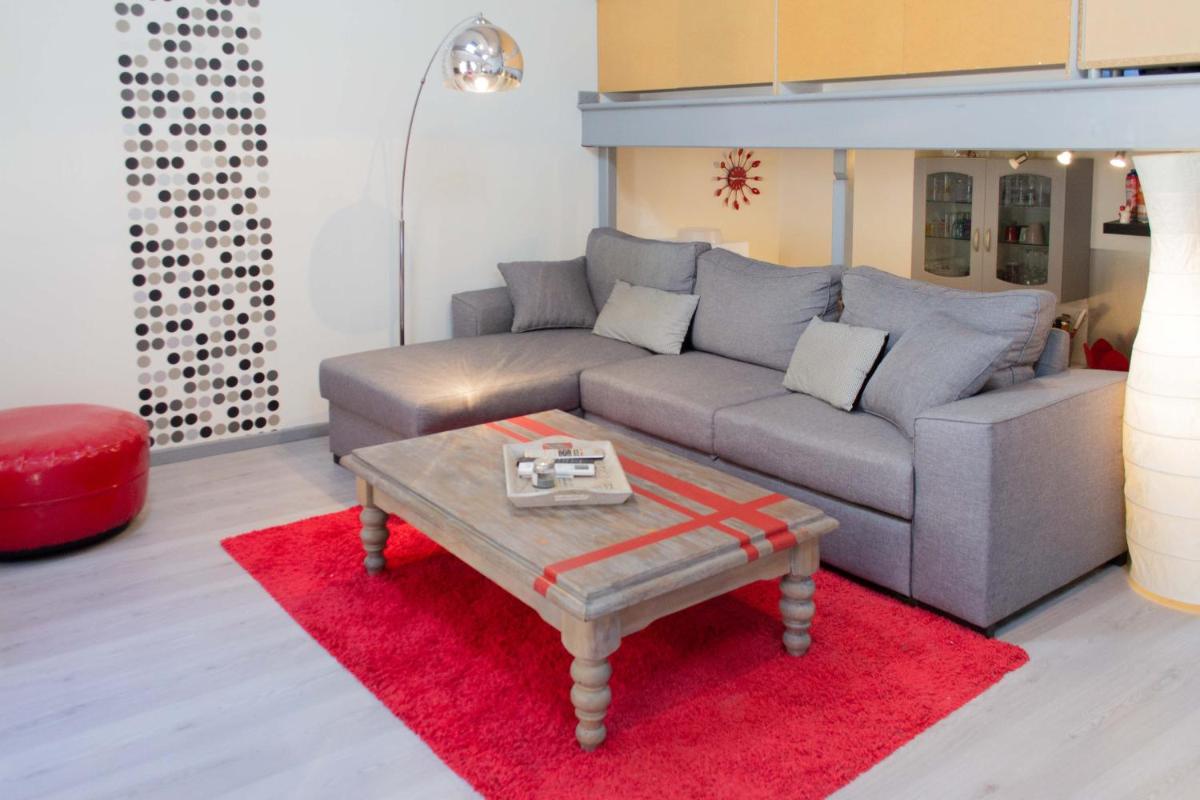 Appartement type loft dans le centre de Roussillon - Housity