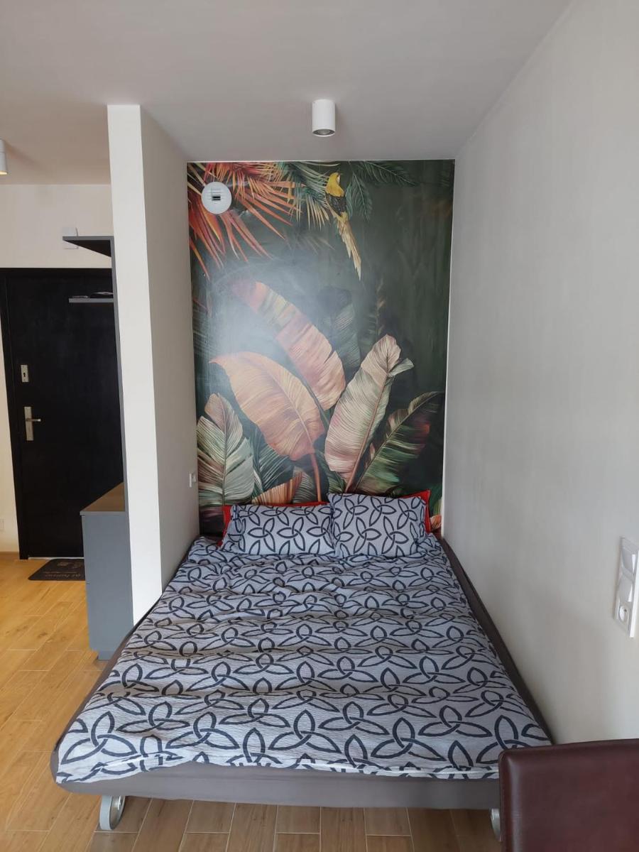 Apartament pod Szyndzielnią, Dębowiec - Housity