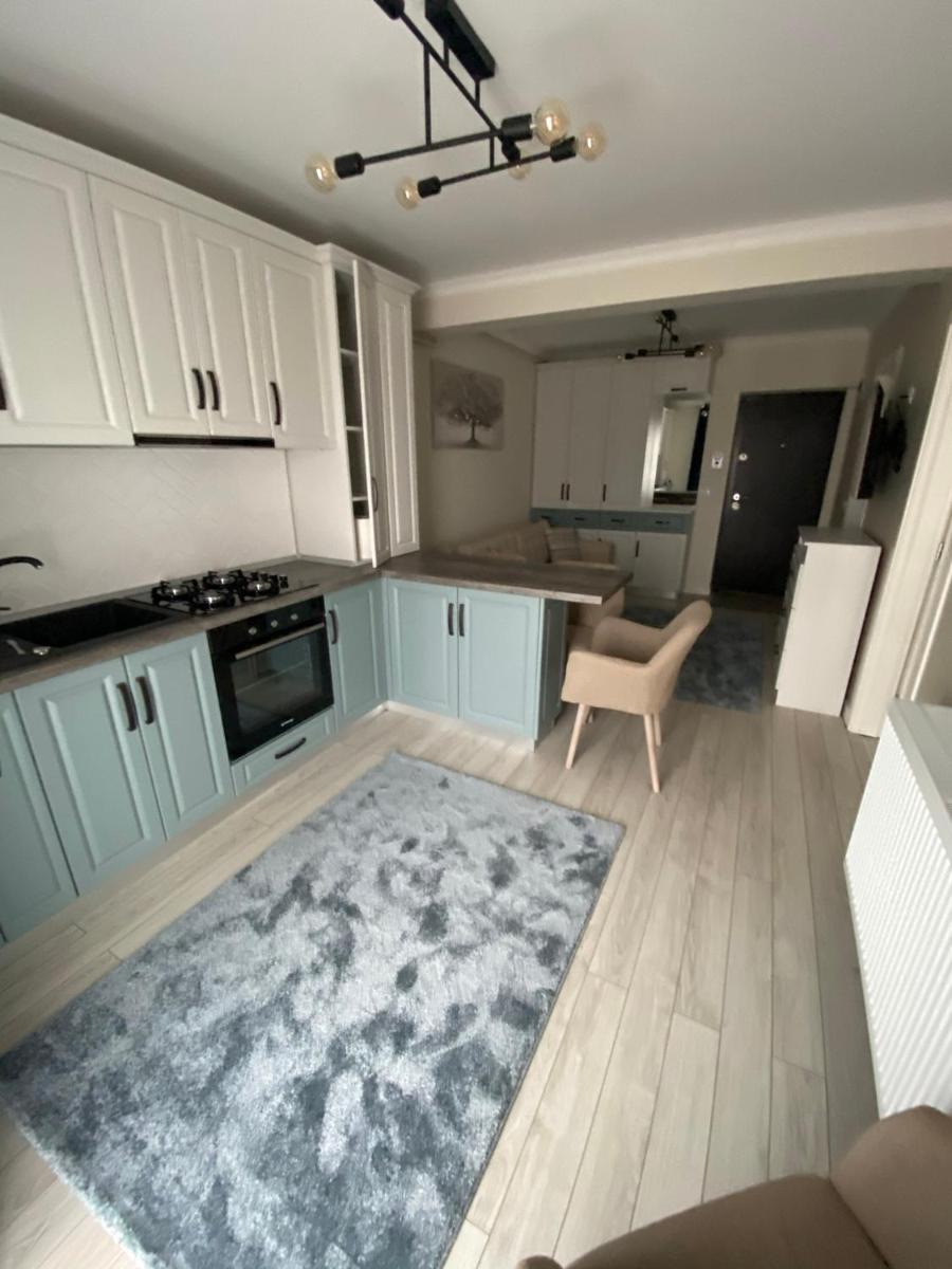 Apartament Ozana - Housity