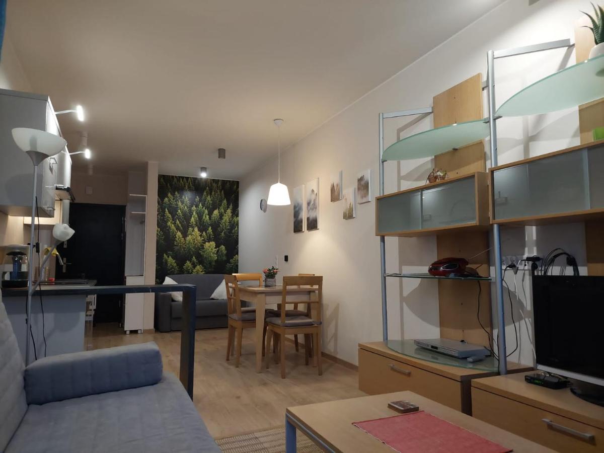 Apartament pod górą Szyndzielnia , Dębowiec - Housity