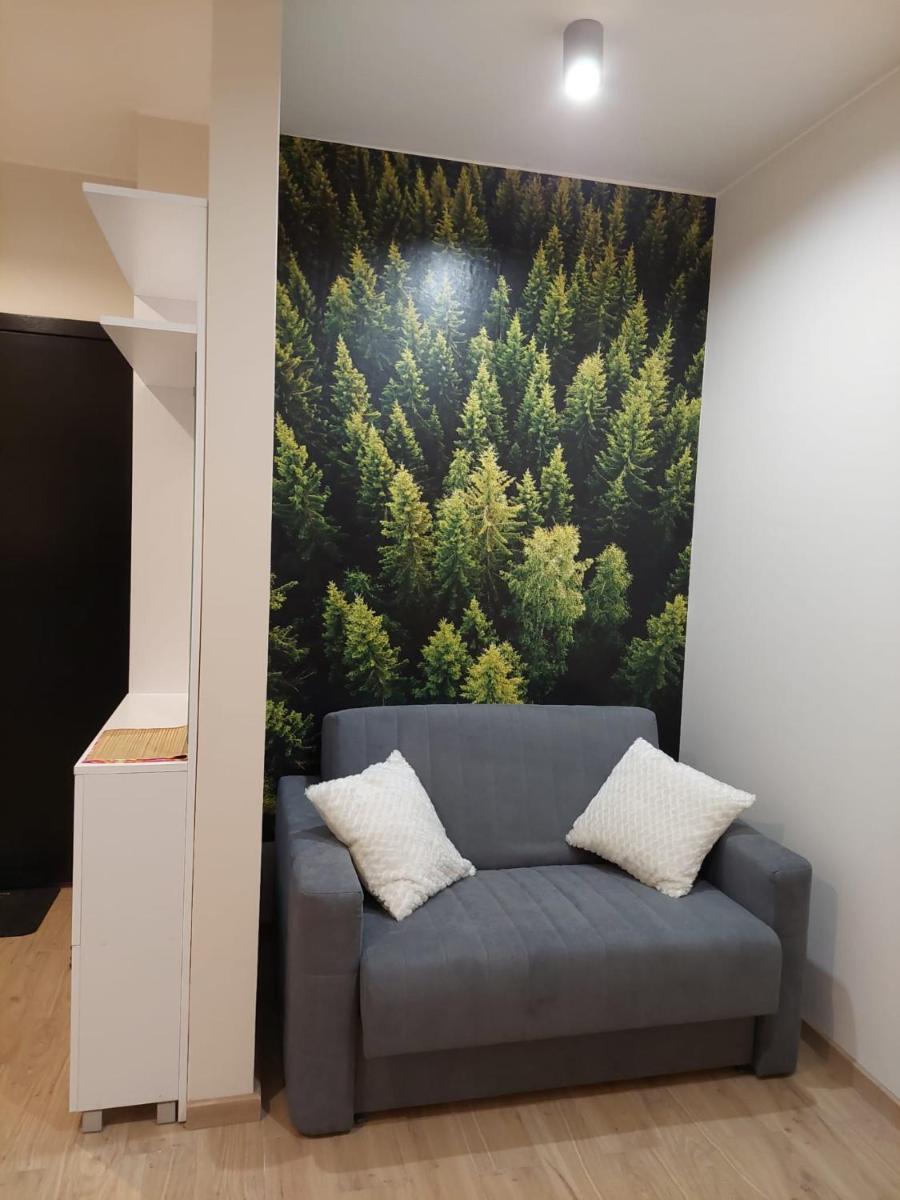 Apartament pod górą Szyndzielnia , Dębowiec - Housity