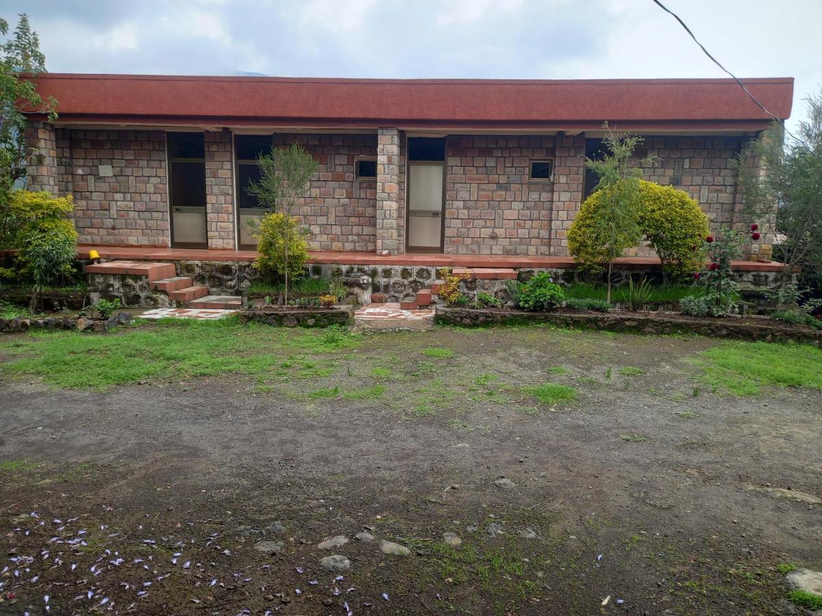 Merkeza Guest House - Housity