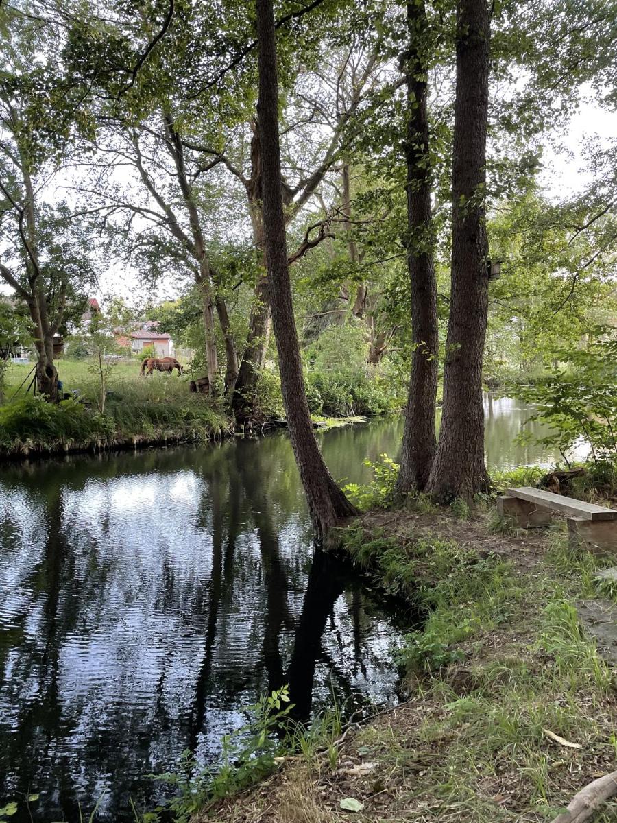 Suitetrails - Spreewaldhaus am Landgut - Pretschen