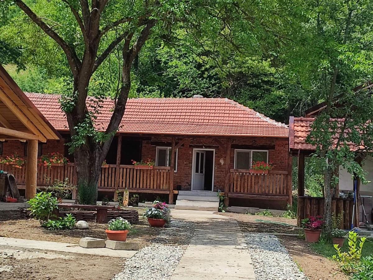 Dumbrava Minunată - Housity
