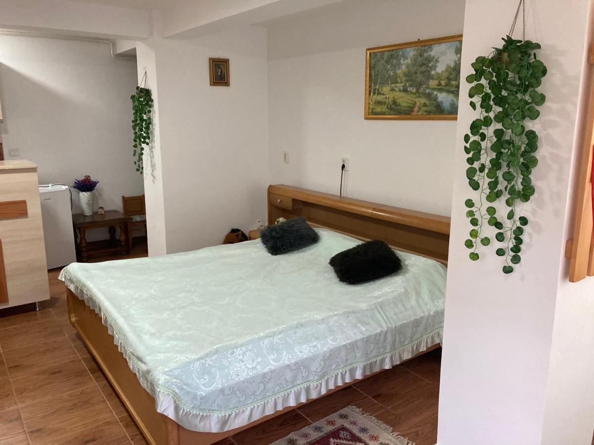 Apartament Select - Housity