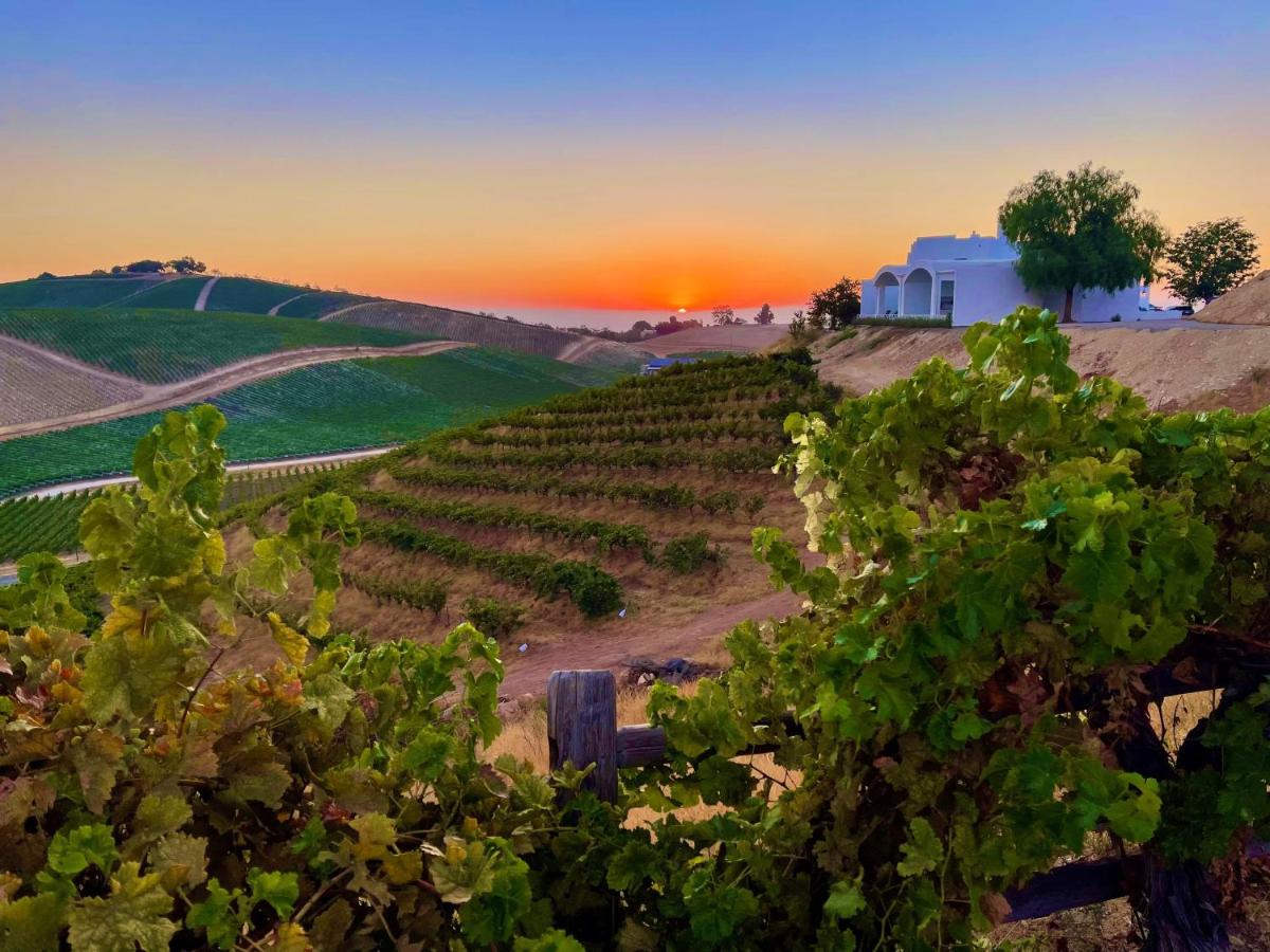 Sirena Vineyard Resort - 3 Bedroom guest house - Housity