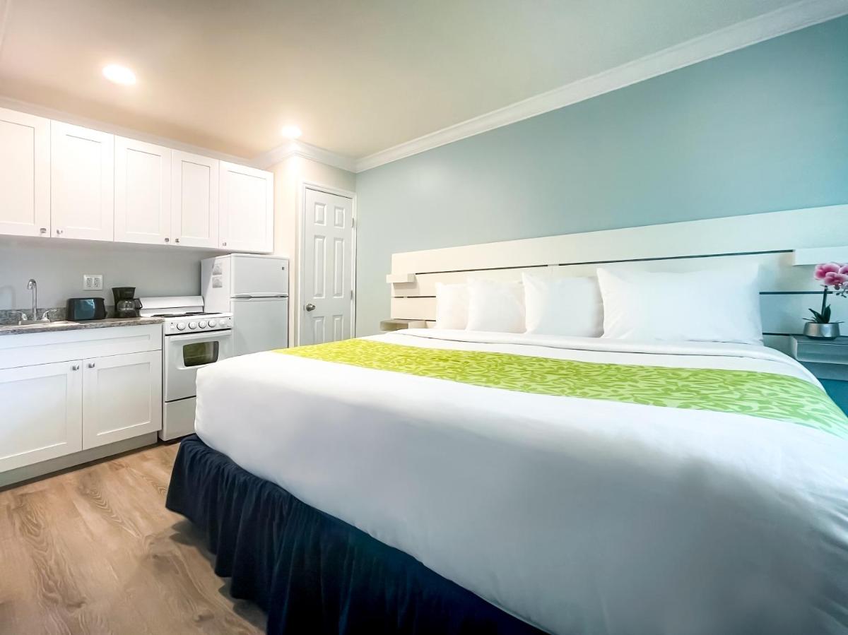 The Clevelander - Housity