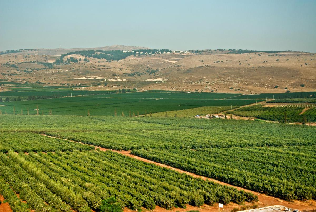 Nofesh Baharim - Housity