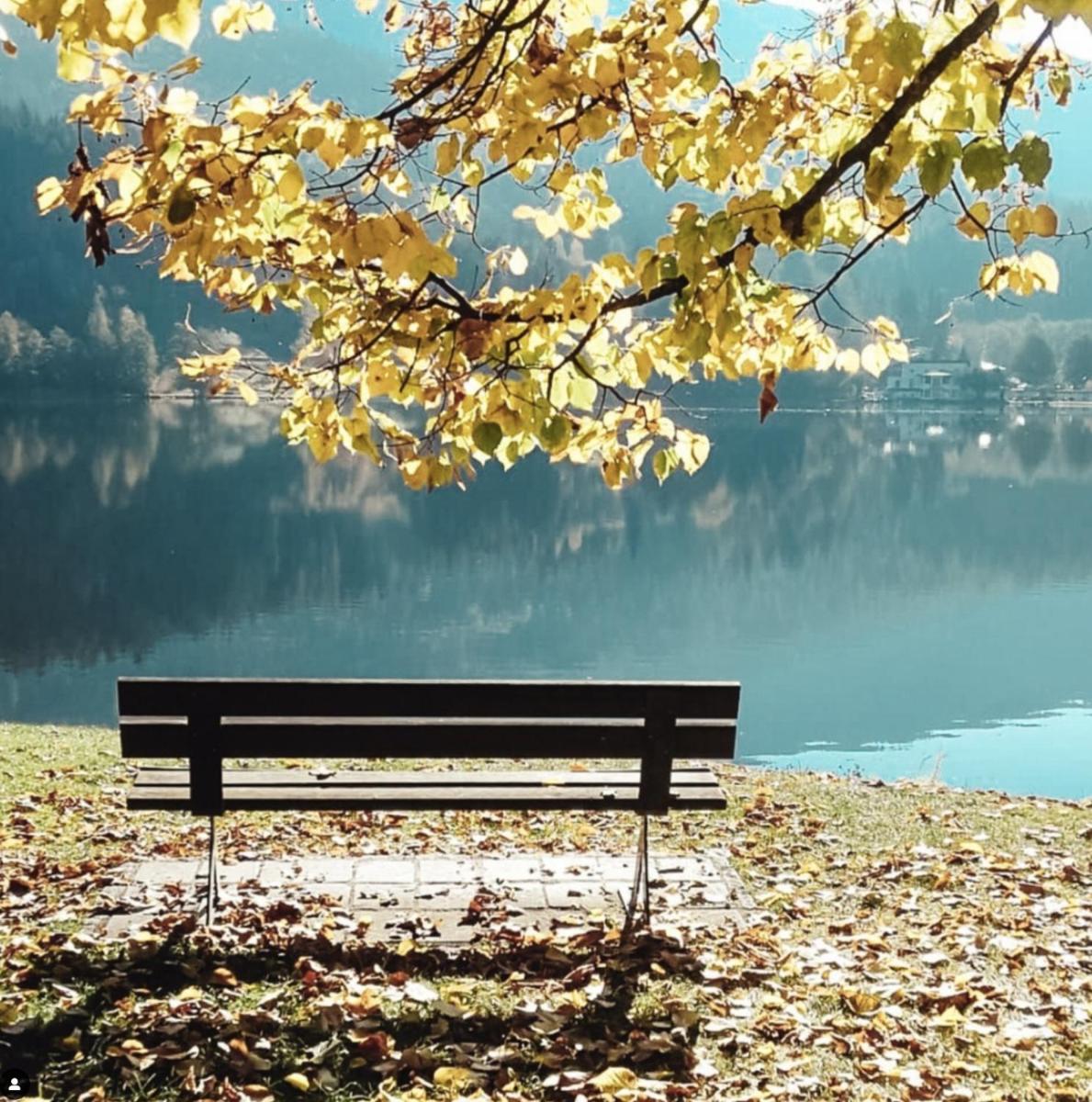 Relax e natura vicino a Trento - Housity