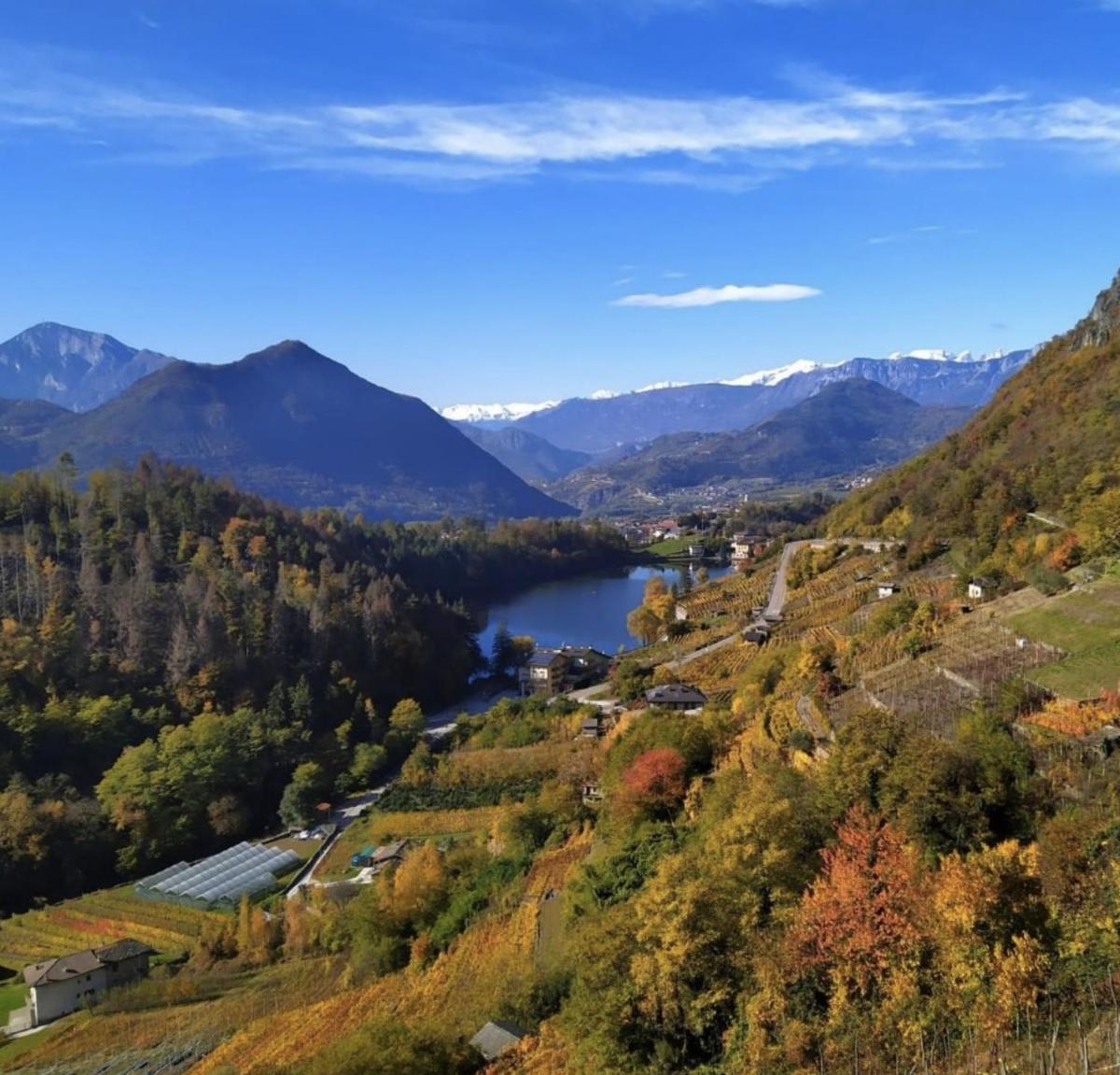 Relax e natura vicino a Trento - Housity