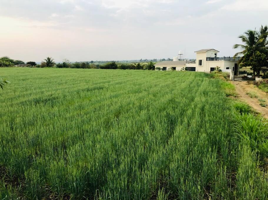 Shiva Farm Stay 4 Bed Luxury Farm House with Pool - Housity