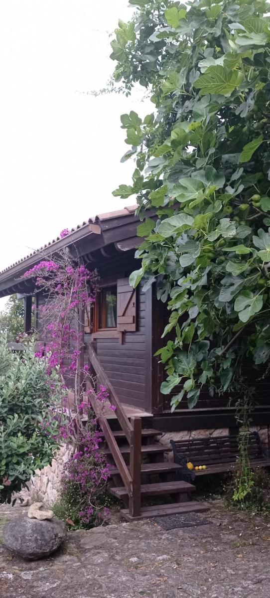 Acogedora cabaña con piscina - Housity