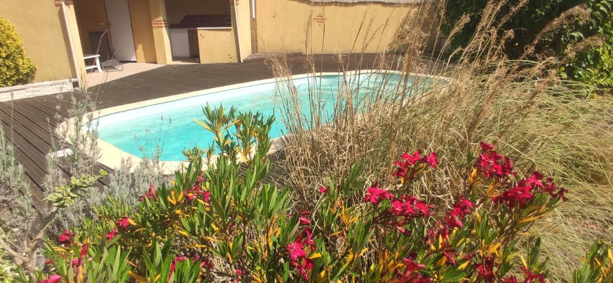 Adorable guest house with piscine - Housity
