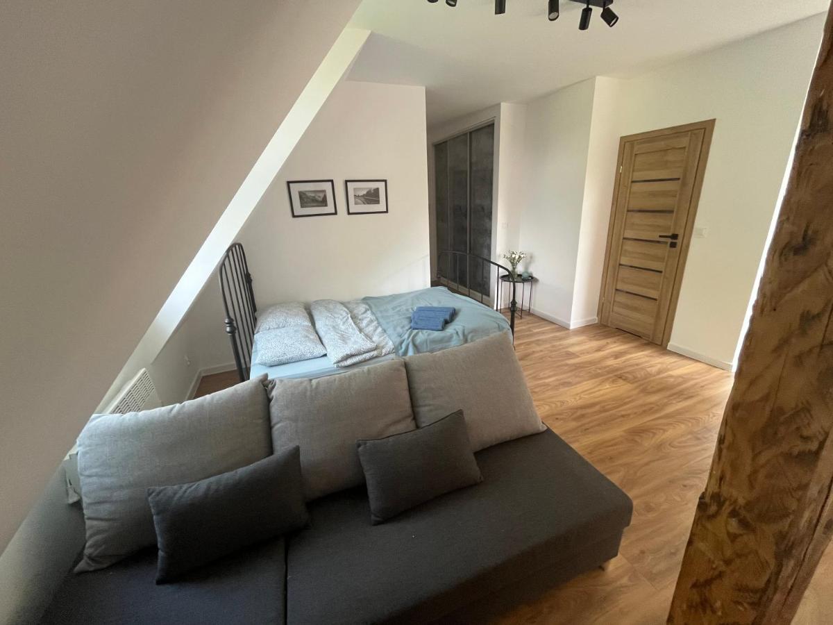 Apartament Willa Bellevue - Housity