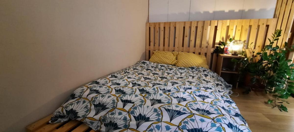 Appartement ambiance chalet - Housity