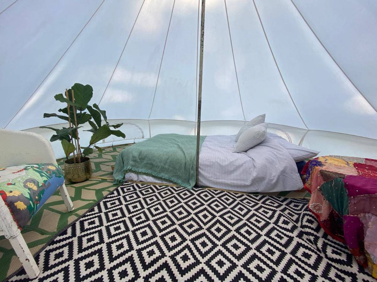 Wild goose campsite - Housity