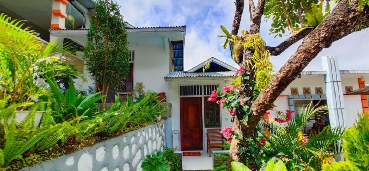 Bintang Bungalow Tour & Travel - Housity
