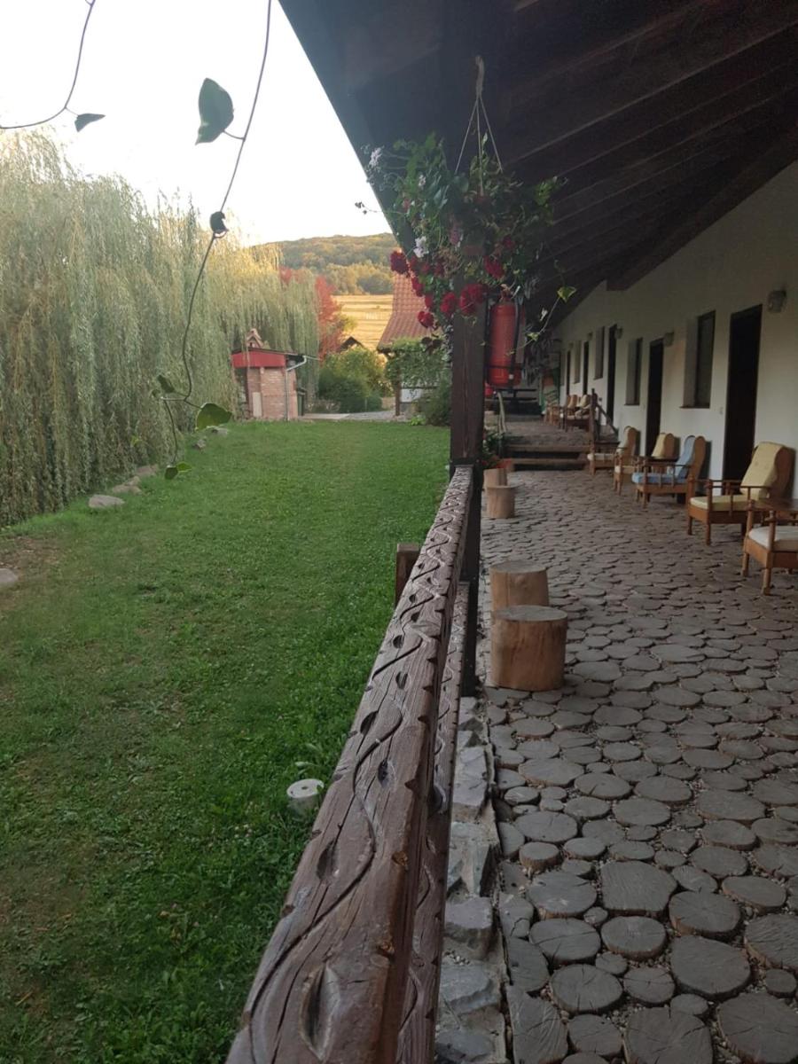 Vila Sura Razoare - Housity