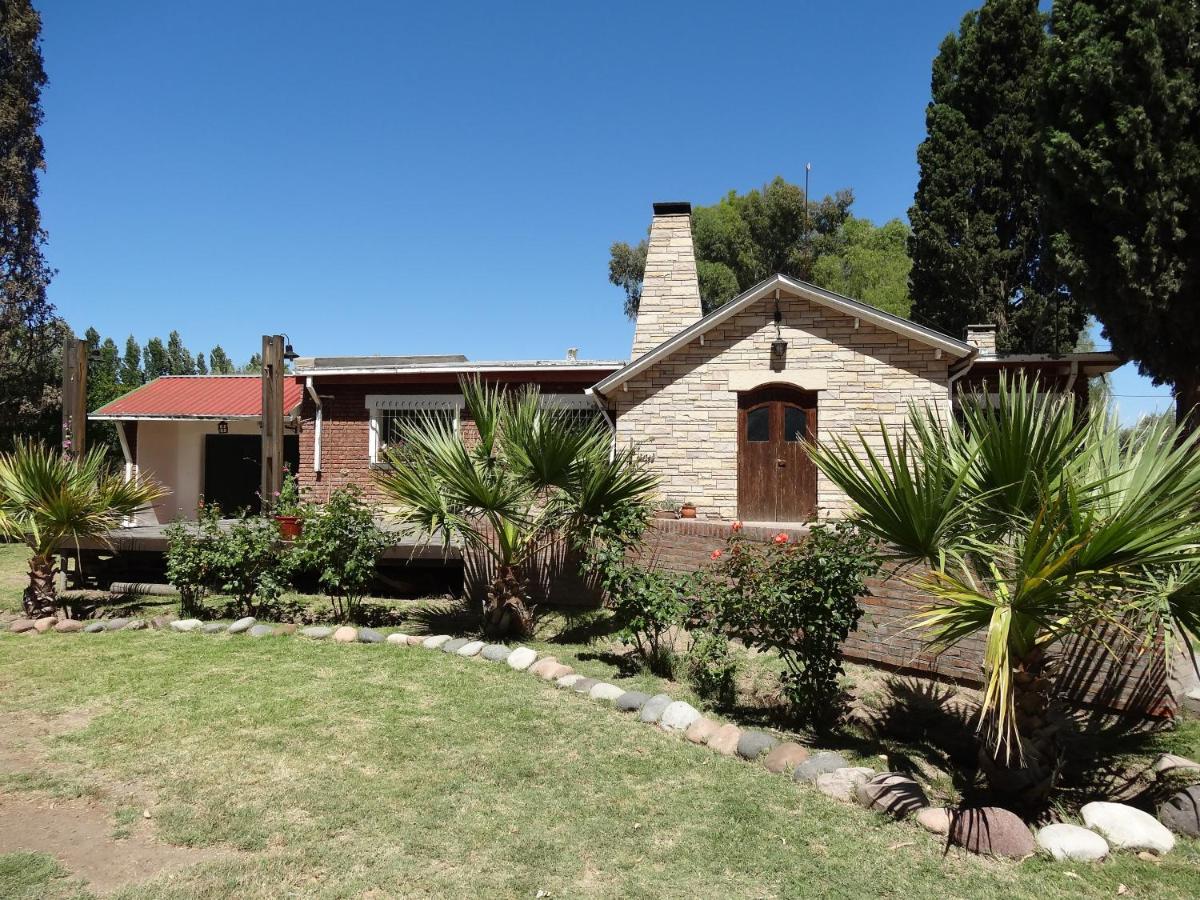 Tree House Hostel - Housity