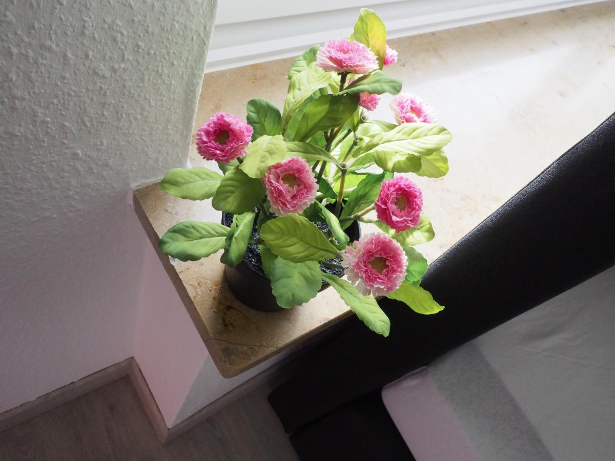 Villa Natur Monteur & Ferienwohnung mit WLAN & PARKPLATZ - Housity