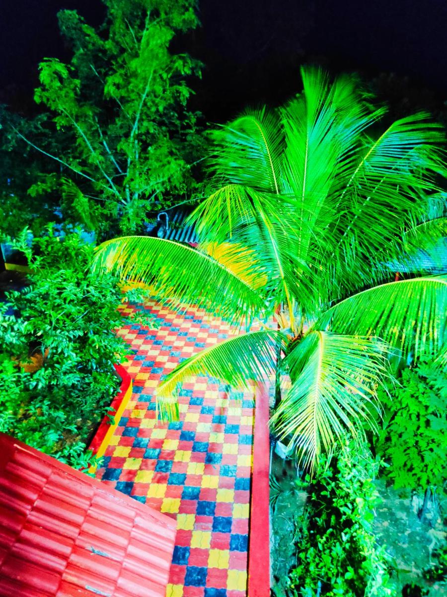 Smith garden Farm house Auroville Pondicherry - Housity