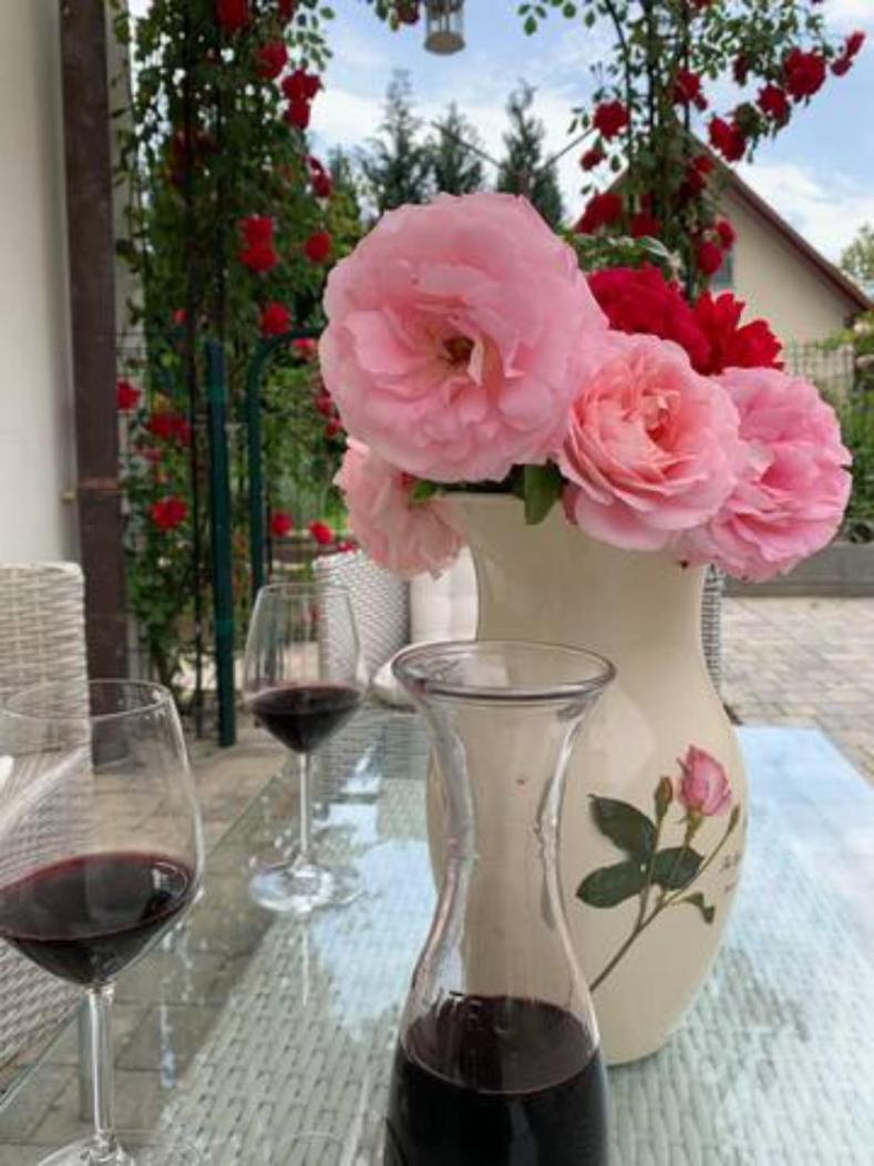 Holiday rooms & apartments in the rosy garden - Housity
