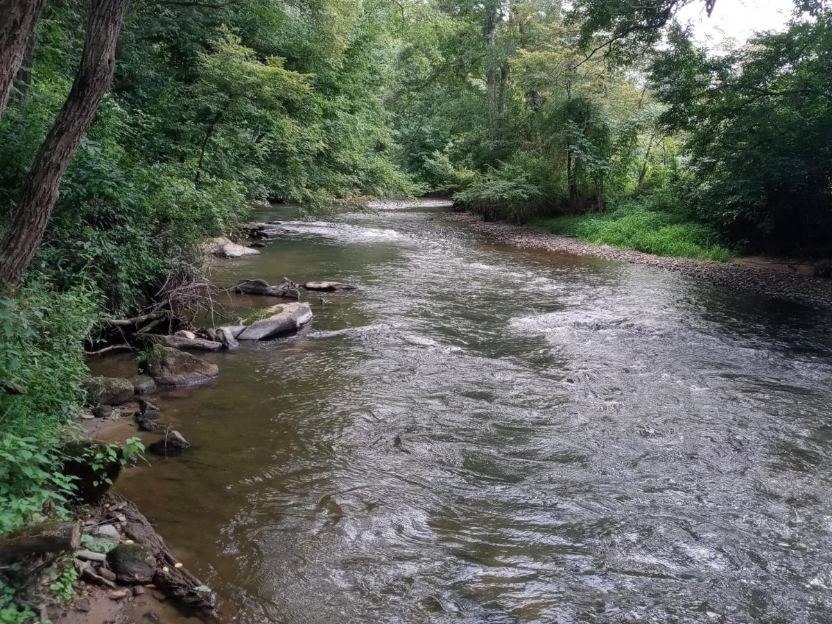 Tranquil Creekside Mountain View Getaway - Housity