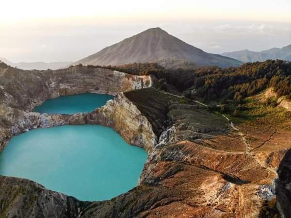 Andy's Lodge Kelimutu - Housity