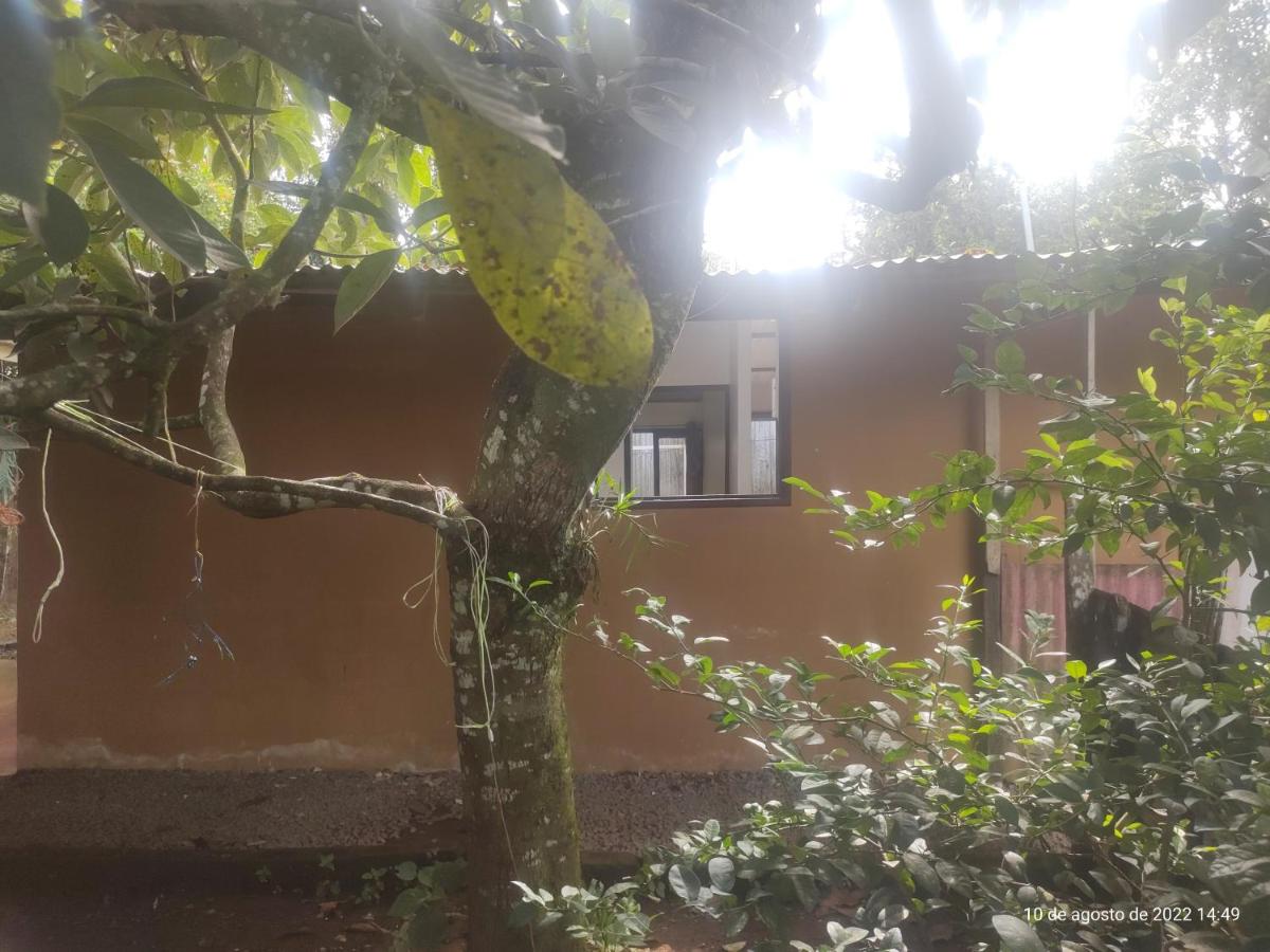 Suitetrails - Apartment near Tortuguero with parking