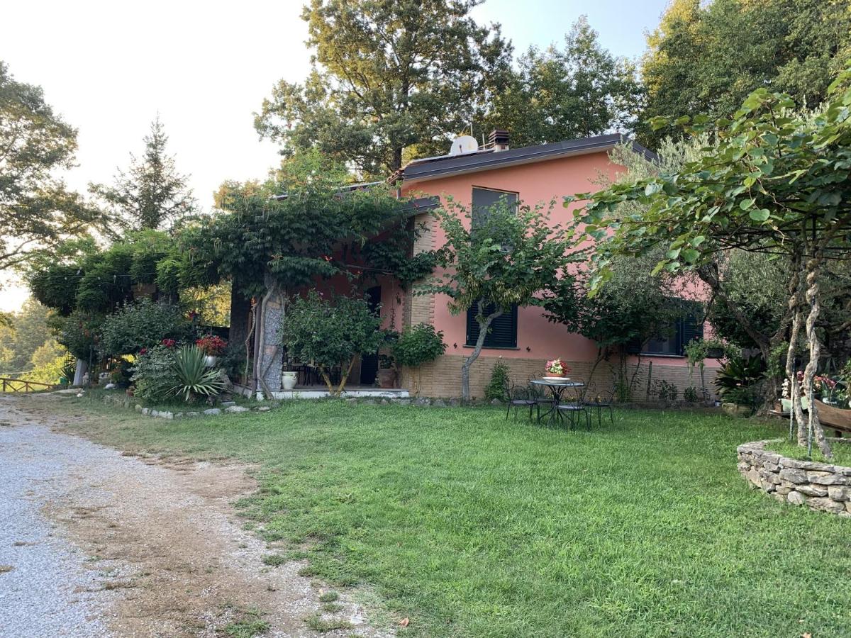 Villa Franca - Housity