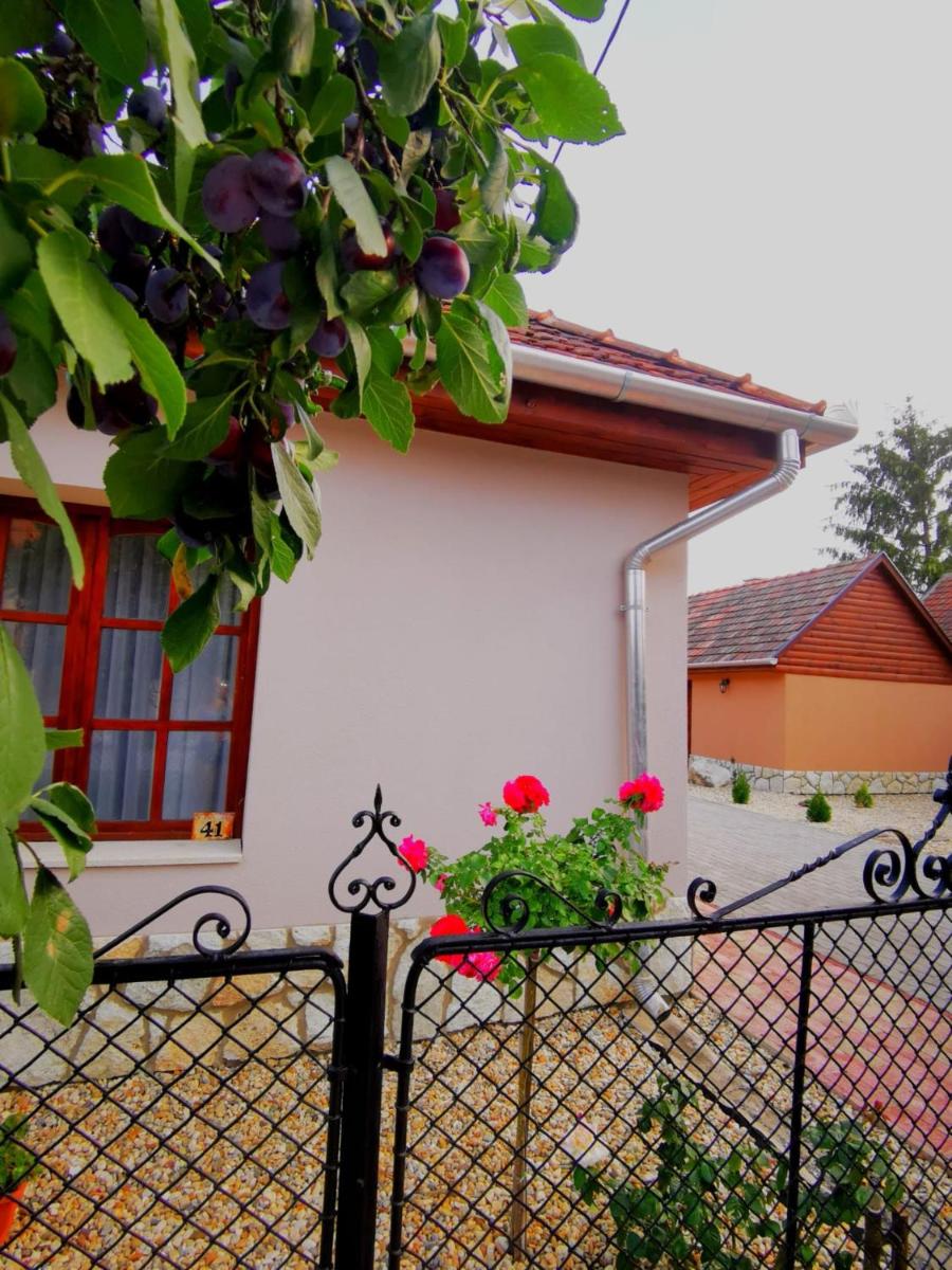 Szilvaliget Vendégház - Housity
