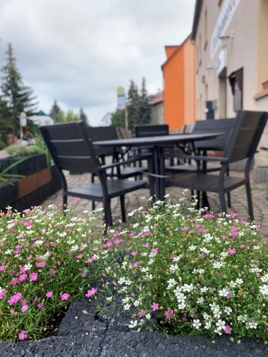 DIVINO Pension Zorbau - Housity