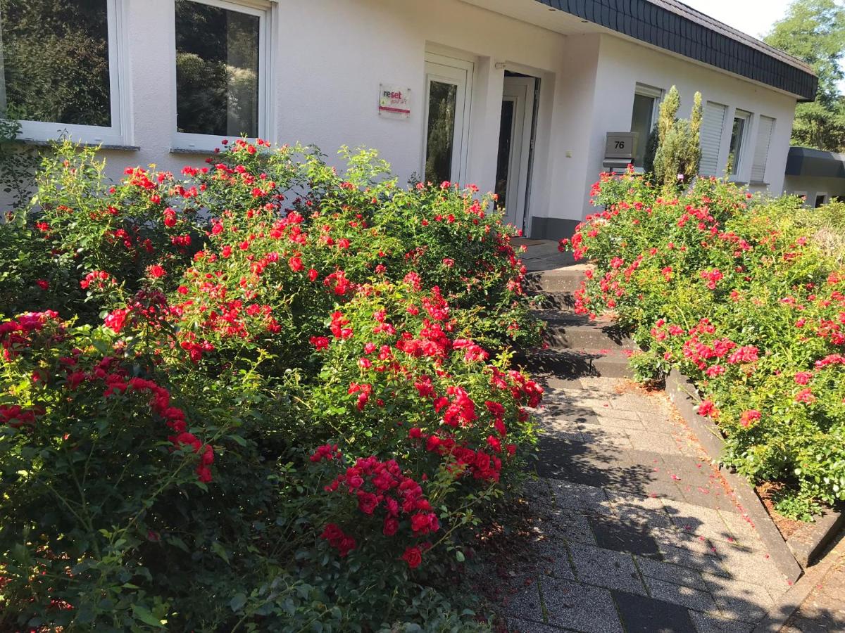 Appartement in Trier-Ruwer - Housity
