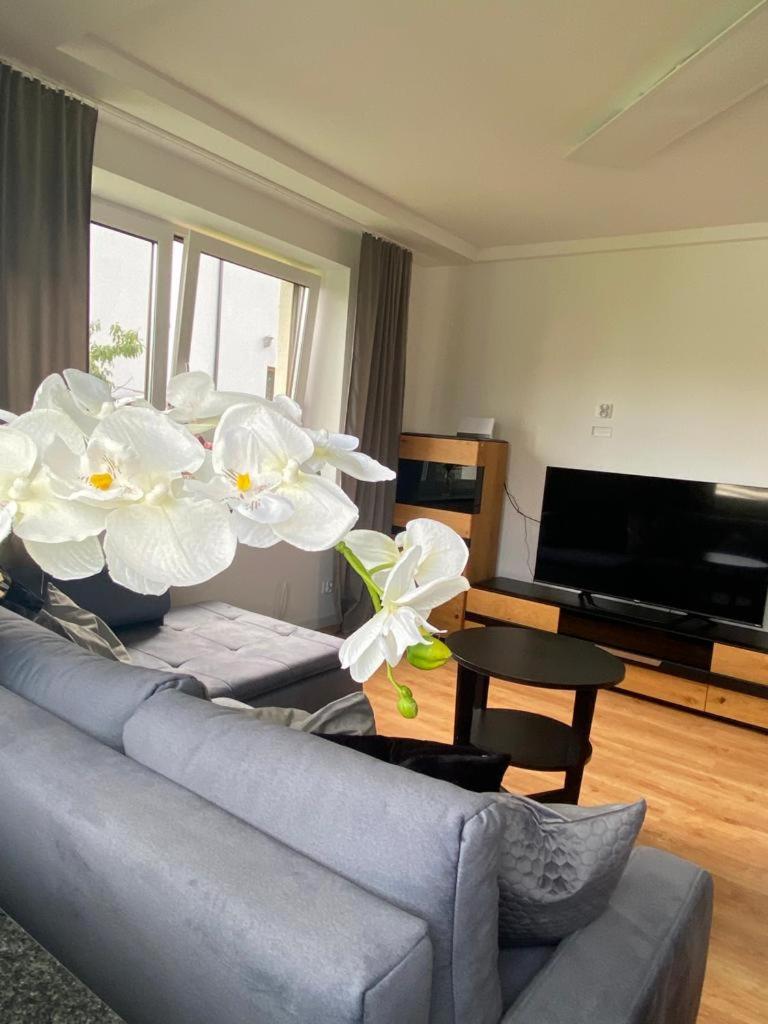 Apartamenty Raba - Housity