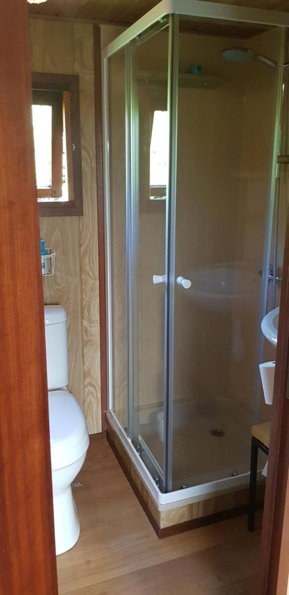 Chalet Pluk de Dag gezellig privacy rust en vlakbij Giethoorn - Housity