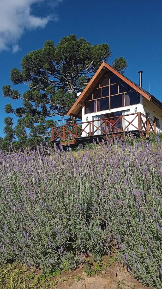 Chalé com vidros e hidromassagem - Housity