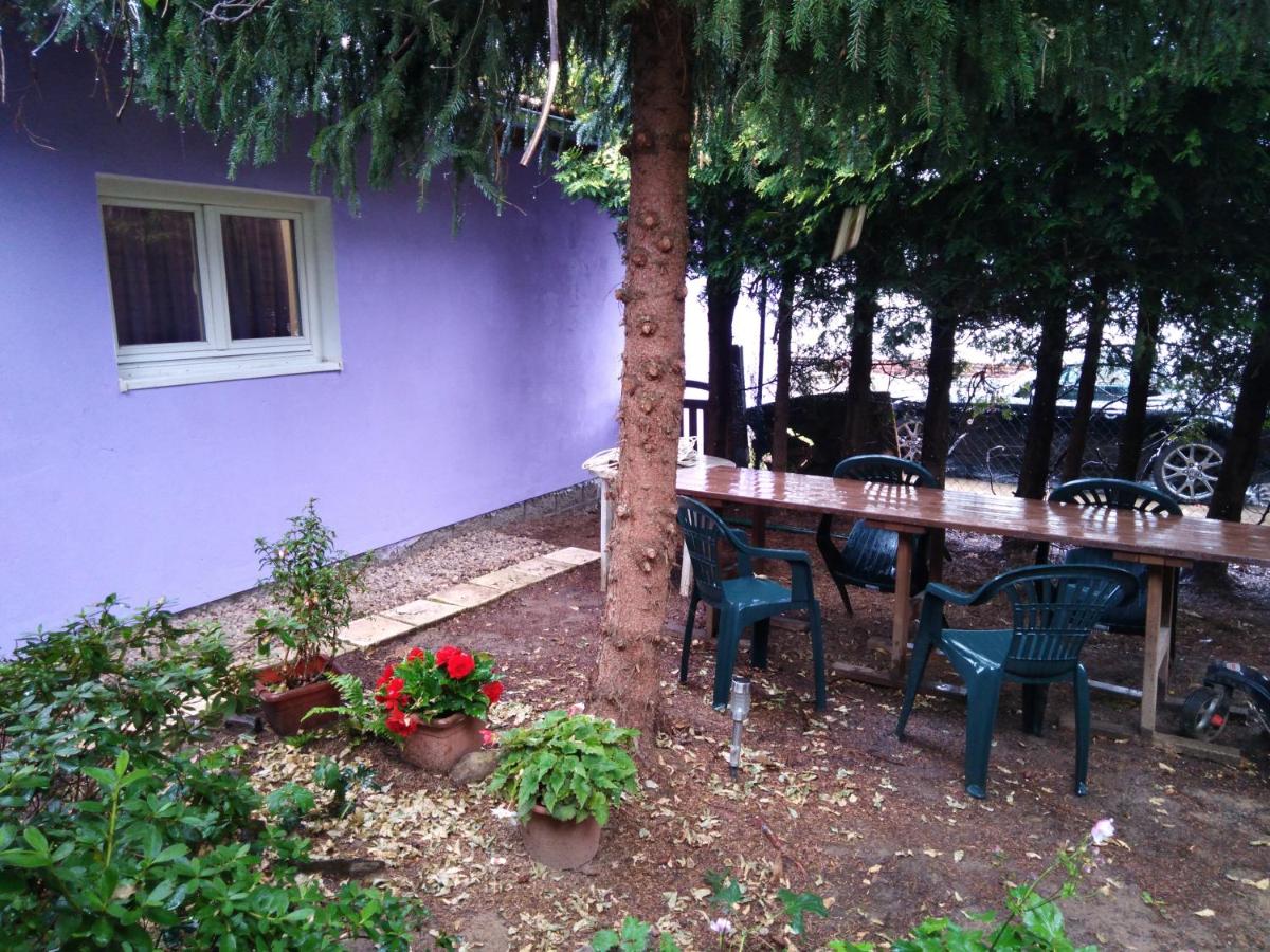 Violetka airport Benešov - Housity