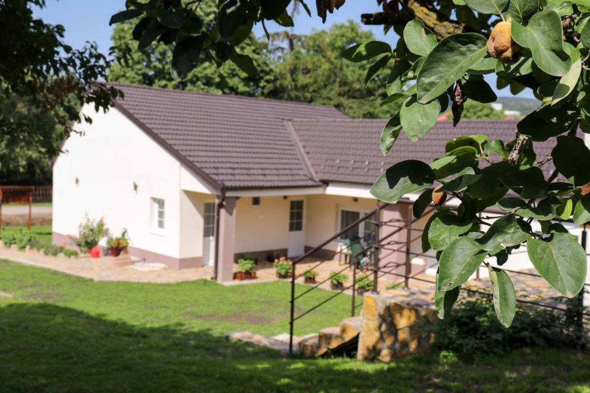 Zlatne perle - Housity