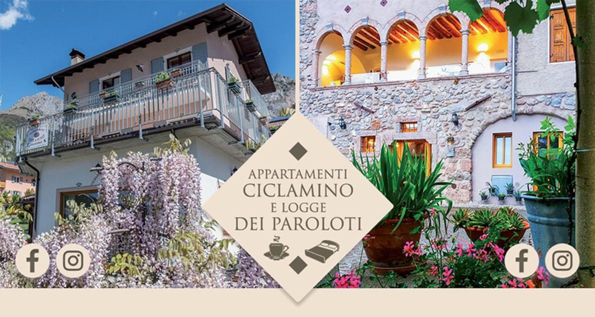 Appartamenti Ciclamino - Housity