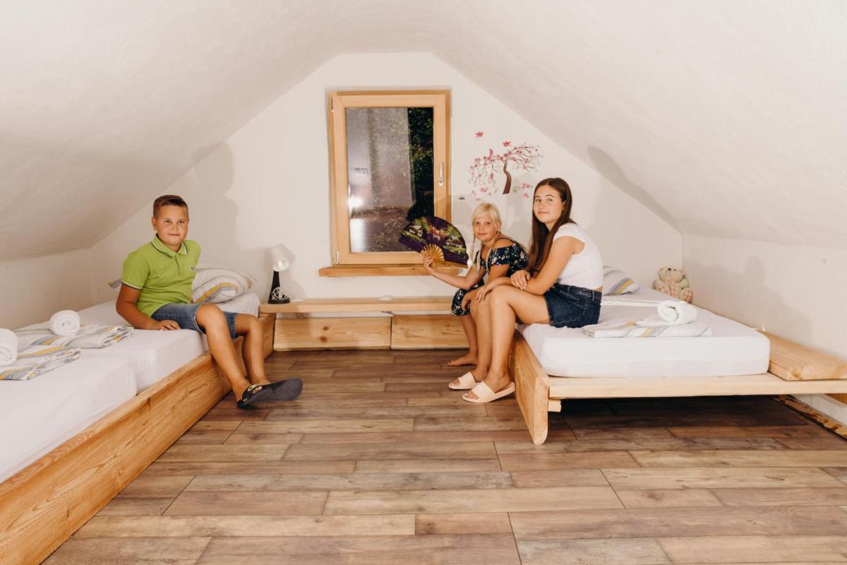 LINCA Hiška pod slapom - Housity