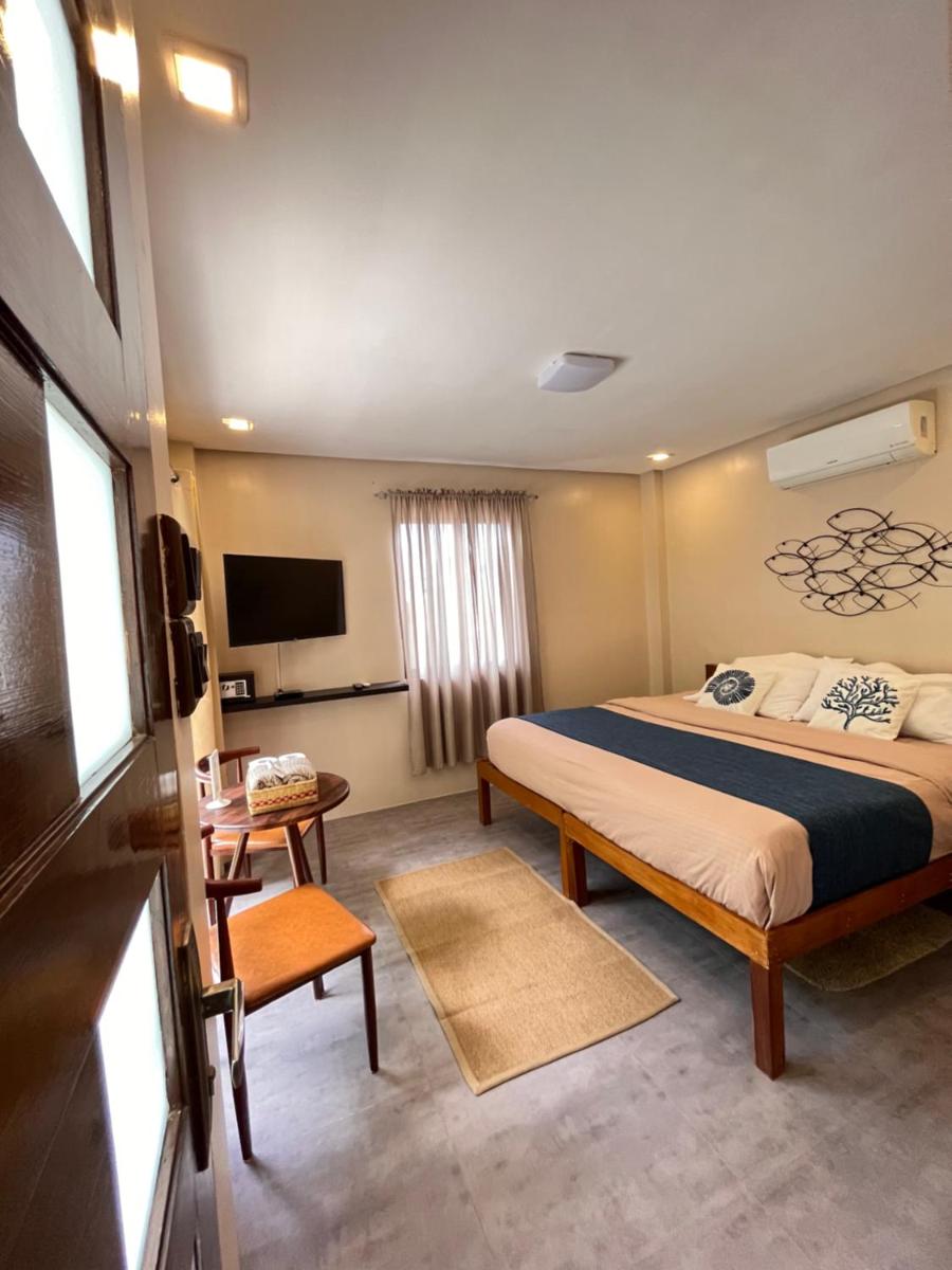 Southseas Beach Resort and Dive Center - Housity