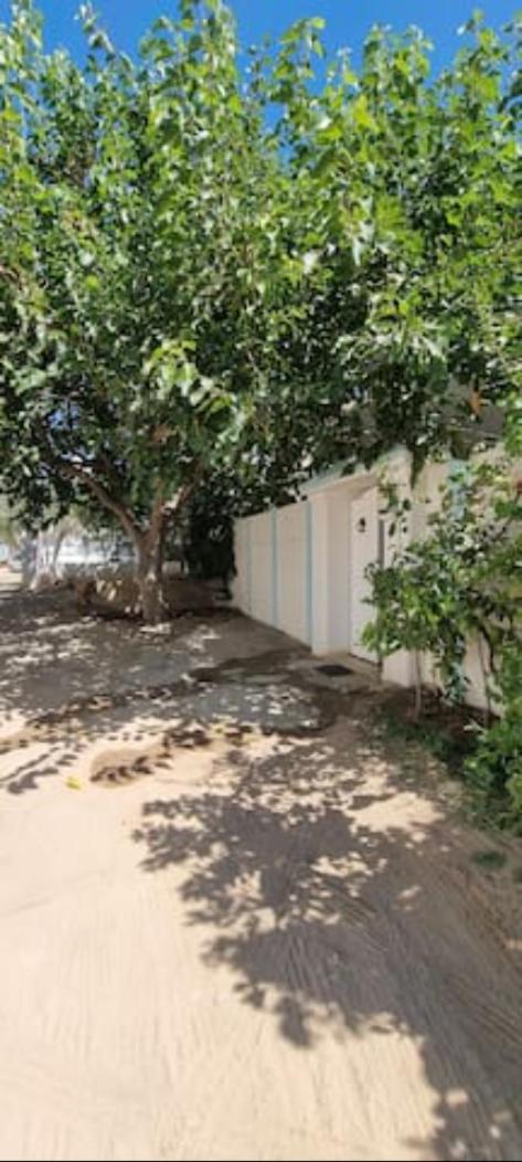 Suitetrails - Logement entier (S+0) Hammamet Nord,800m La Siréne