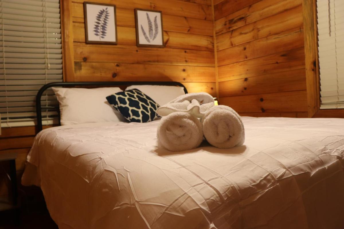 Cute Log Cabin for family retreat in Blue Ridge - Housity