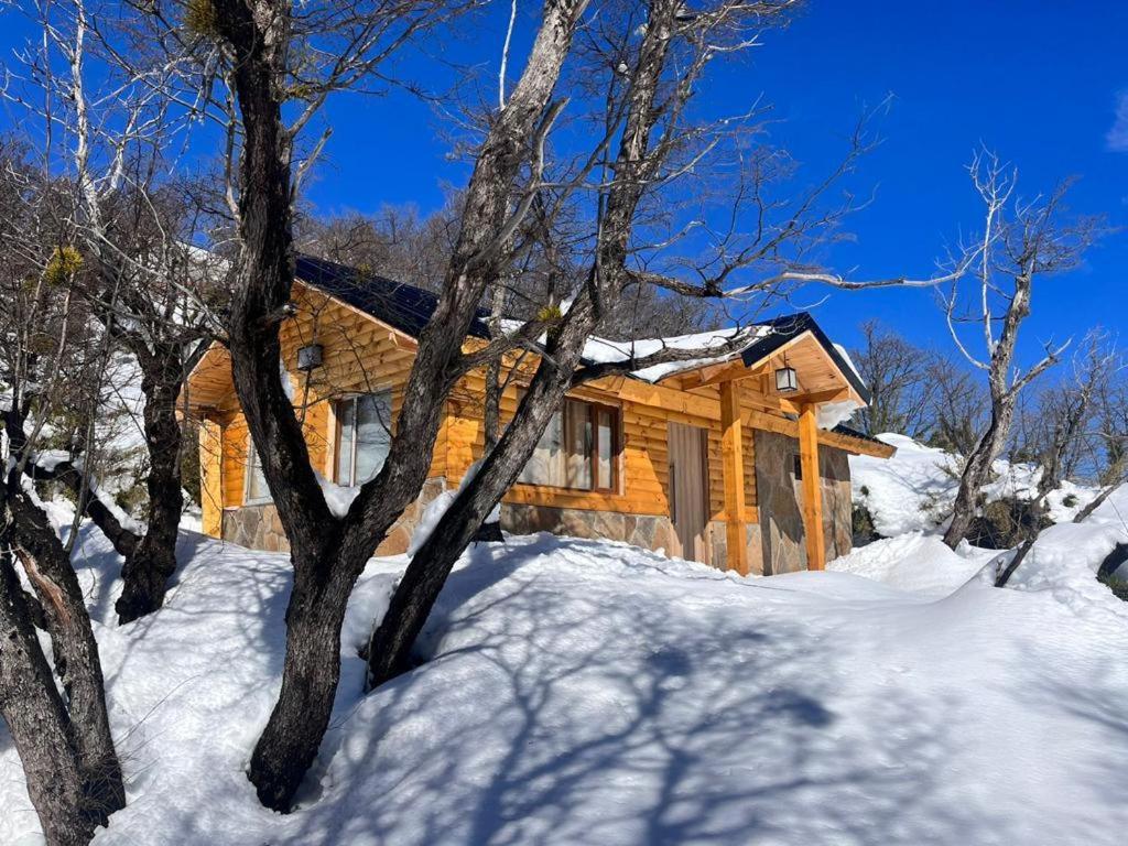 Cabañas Viajeros Patagónicos Moquehue - Housity