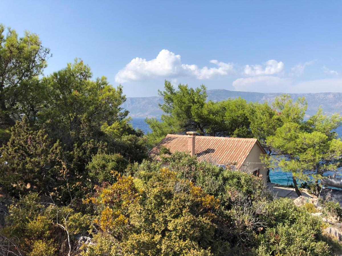 Hvar island -Enjoy Your privacy by the sea - Housity