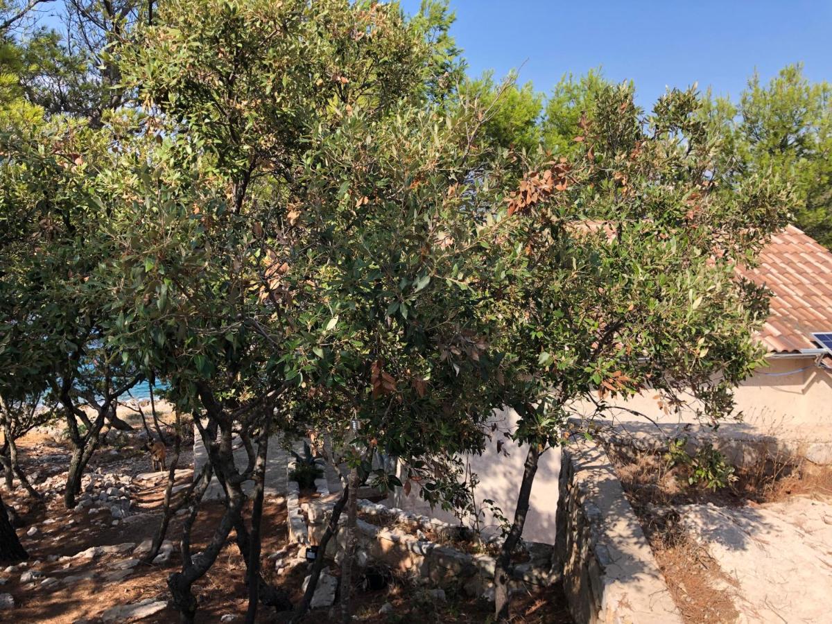 Hvar island -Enjoy Your privacy by the sea - Housity