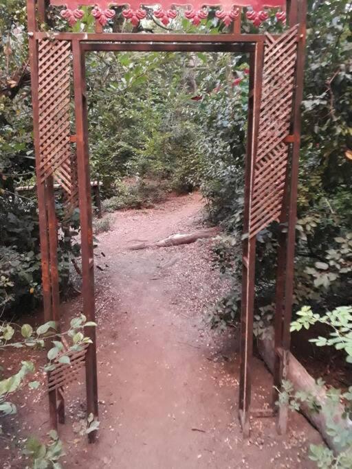 Carreta de cuento de hadas - Housity