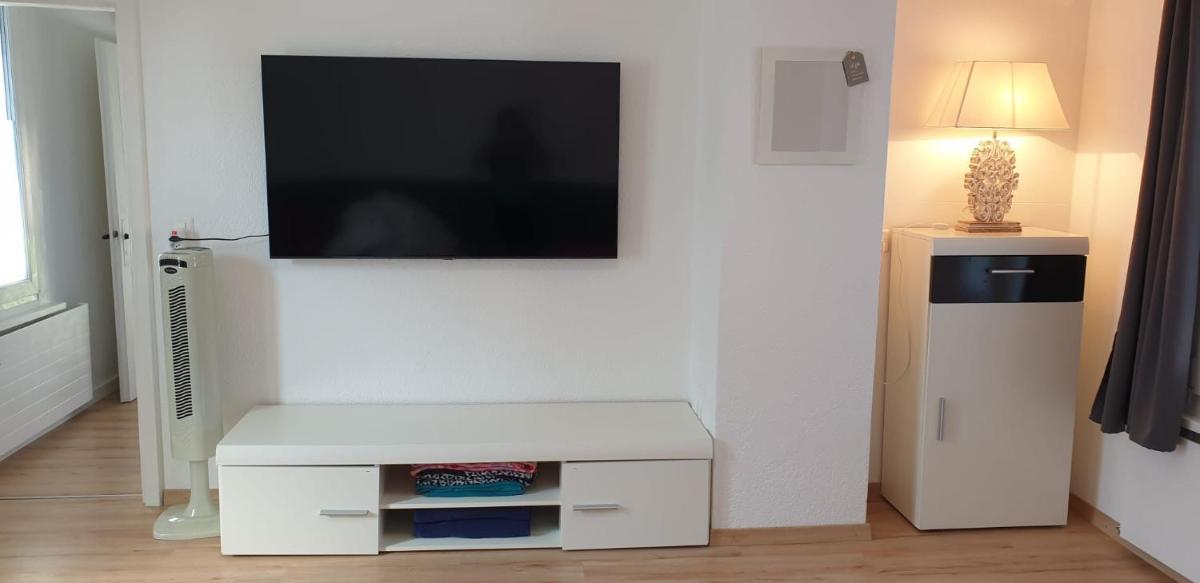 Lake Getaway Apartment with Private entrance, right on the Lake Constance cycle path, barbecue area, free wifi, Netflix and free bikes - Housity