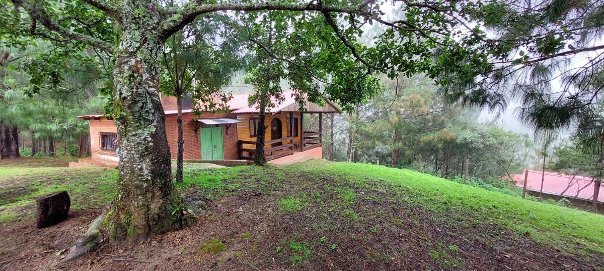 Cabaña La Vía Láctea - Housity